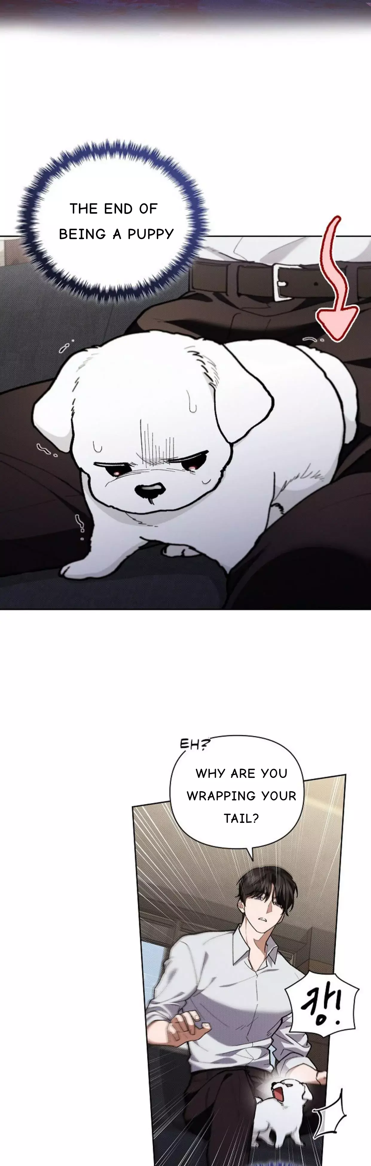 Don’t Mess With The Puppy! - Chapter 4 Page 35