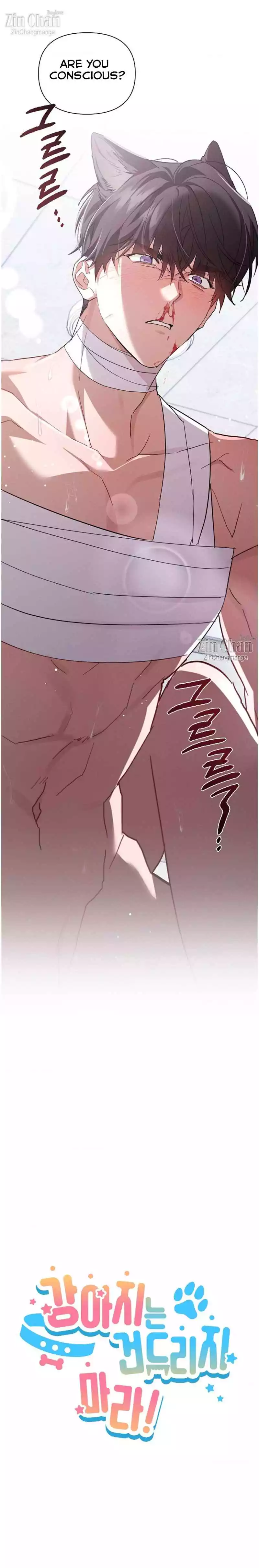 Don’t Mess With The Puppy! - Chapter 42 Page 5