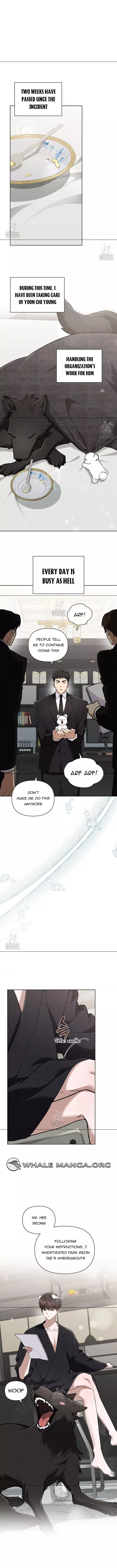Don’t Mess With The Puppy! - Chapter 45 Page 3