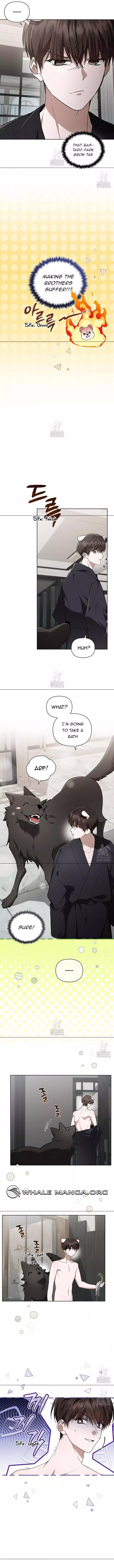 Don’t Mess With The Puppy! - Chapter 45 Page 7