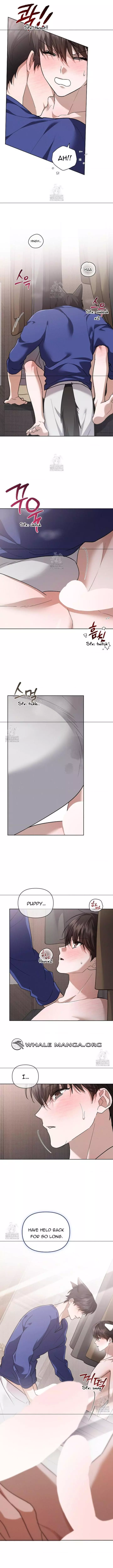 Don’t Mess With The Puppy! - Chapter 47 Page 11