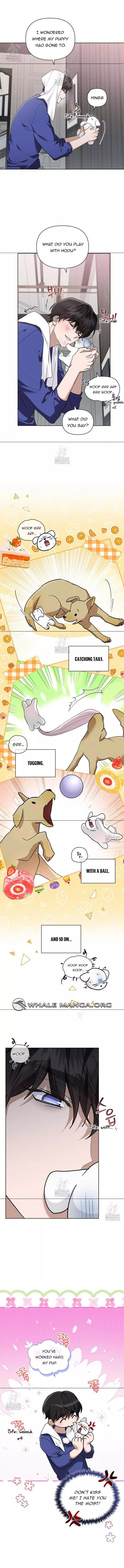 Don’t Mess With The Puppy! - Chapter 47 Page 5