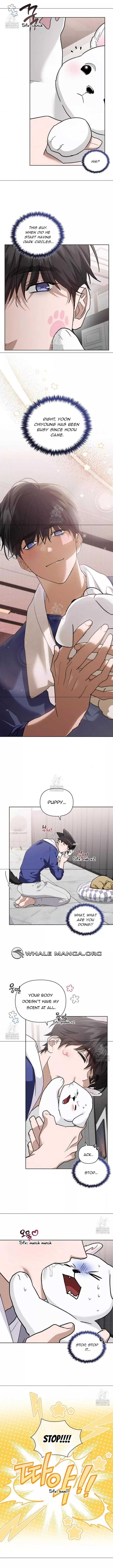 Don’t Mess With The Puppy! - Chapter 47 Page 6