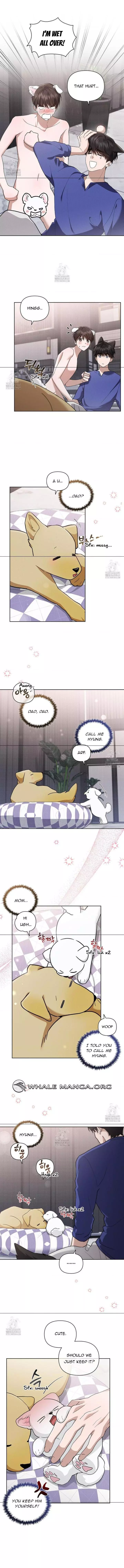 Don’t Mess With The Puppy! - Chapter 47 Page 7