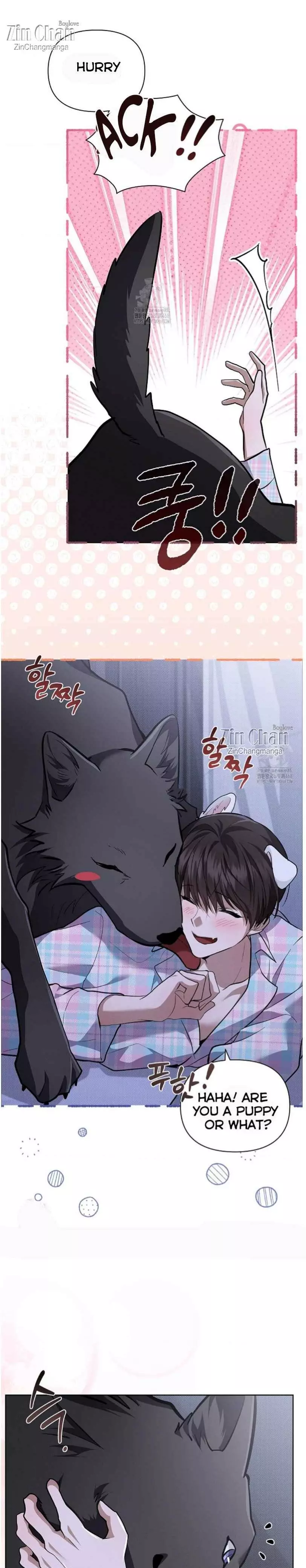 Don’t Mess With The Puppy! - Chapter 50 Page 33