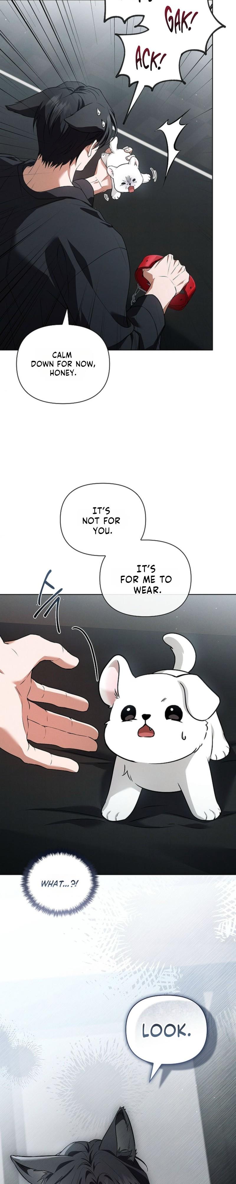 Don’t Mess With The Puppy! - Chapter 60 Page 18