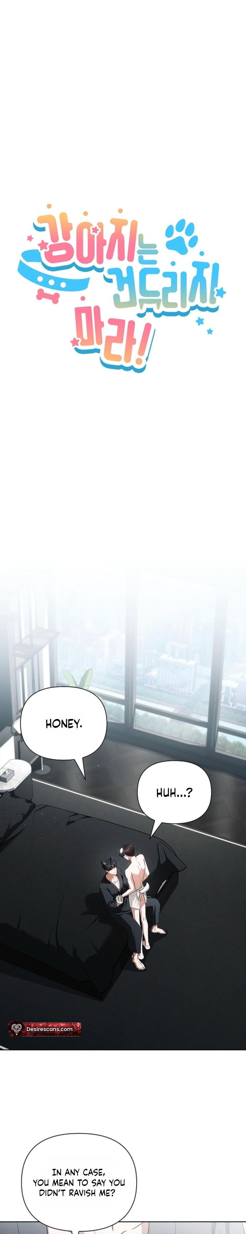 Don’t Mess With The Puppy! - Chapter 61 Page 12