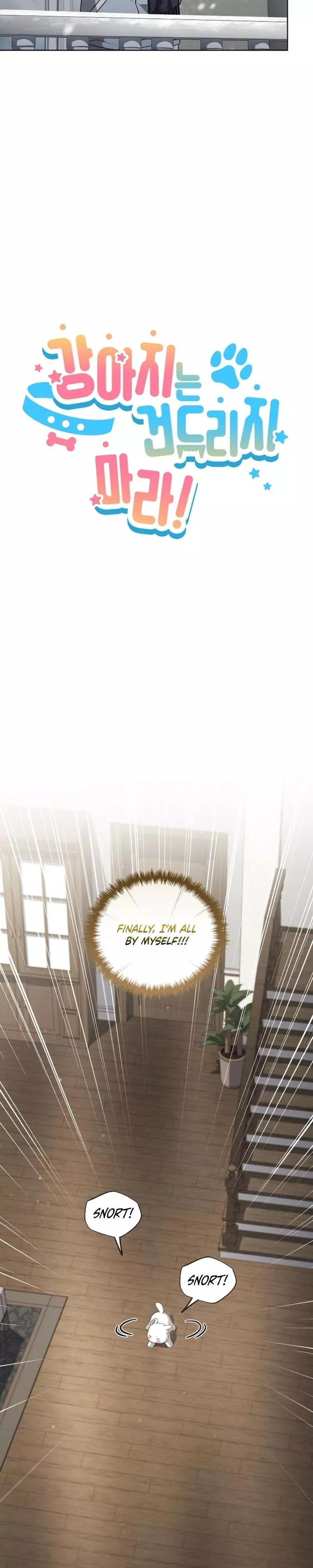 Don’t Mess With The Puppy! - Chapter 67 Page 11