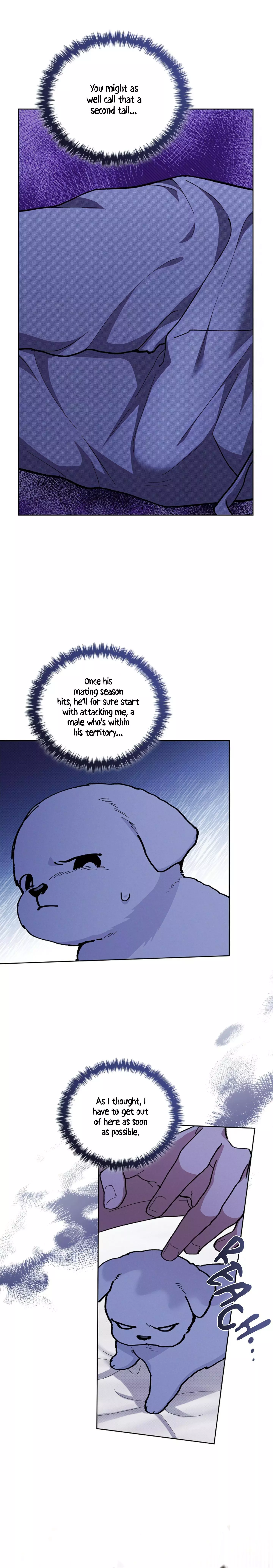 Don’t Mess With The Puppy! - Chapter 7 Page 19
