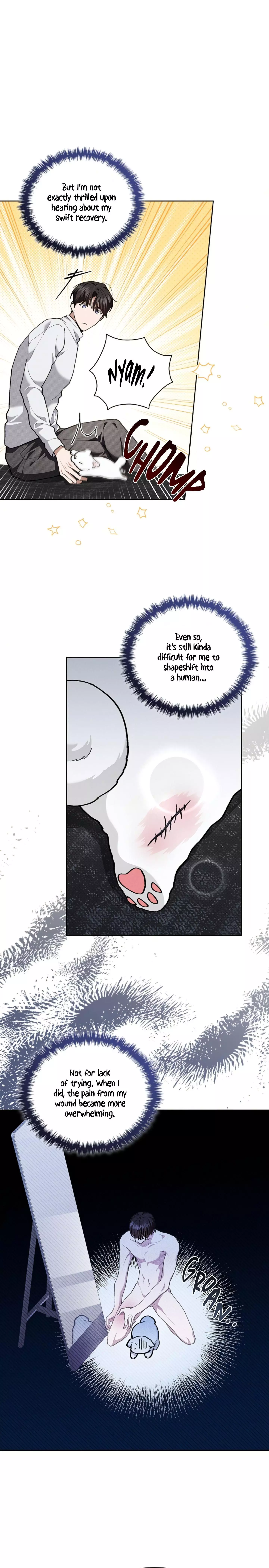 Don’t Mess With The Puppy! - Chapter 7 Page 8