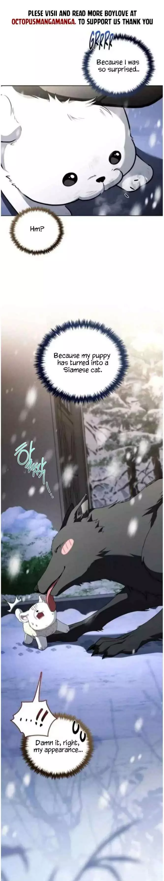 Don’t Mess With The Puppy! - Chapter 71 Page 4