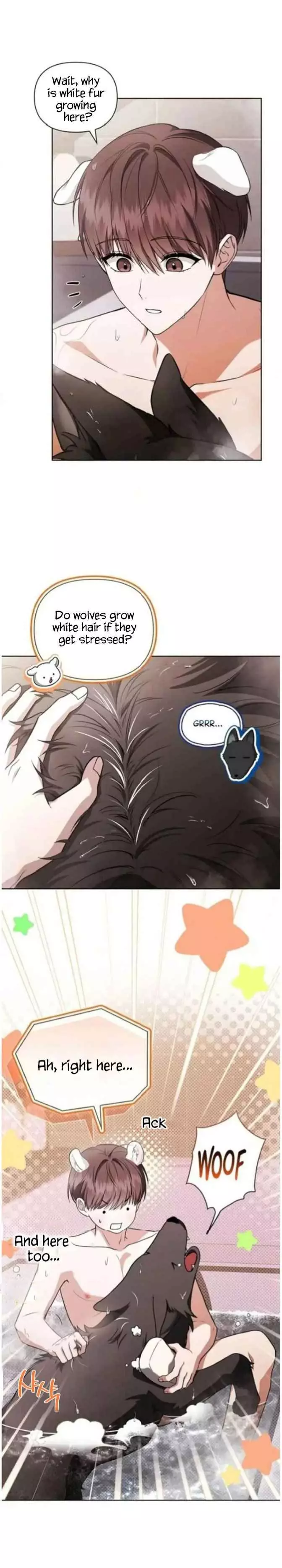 Don’t Mess With The Puppy! - Chapter 71 Page 13