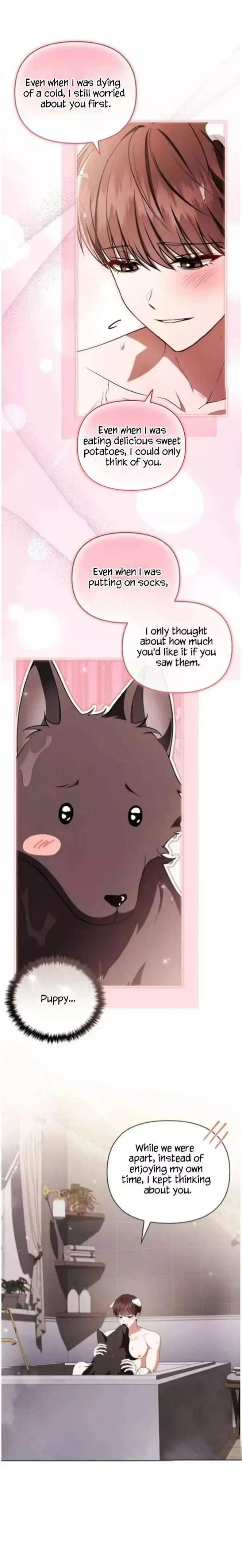 Don’t Mess With The Puppy! - Chapter 71 Page 17
