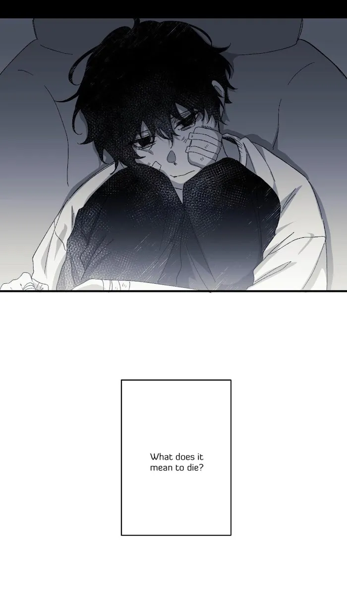 16647 - Chapter 1 Page 10