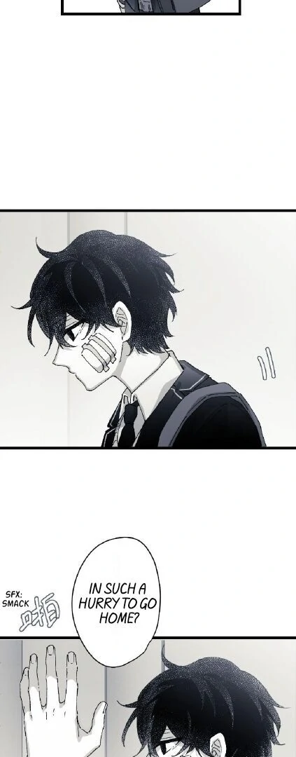 16647 - Chapter 12.12 Page 3