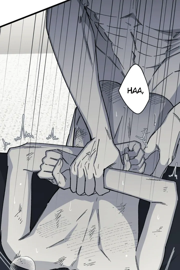16647 - Chapter 12.13 Page 4