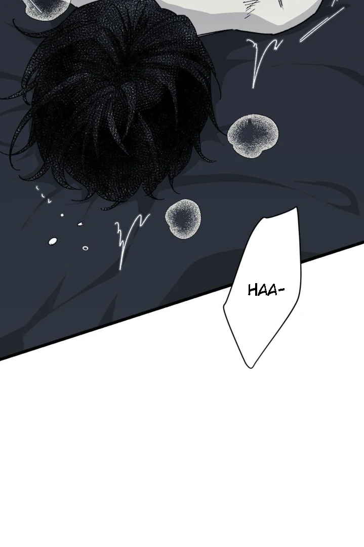 16647 - Chapter 12.13 Page 5
