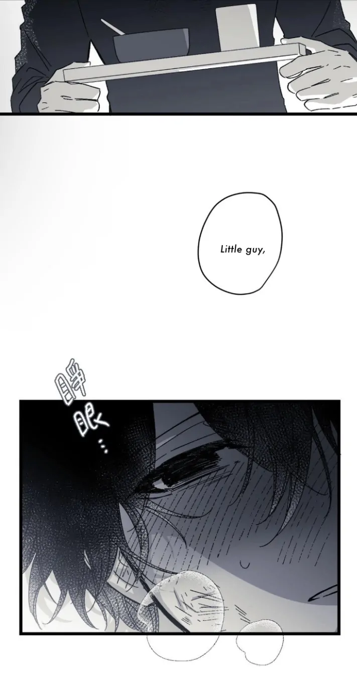 16647 - Chapter 13 Page 41