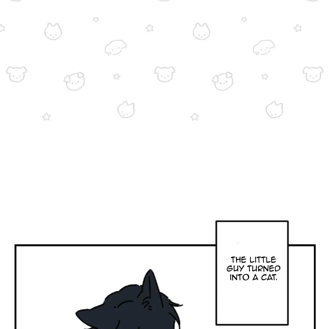 16647 - Chapter 4.2 Page 3
