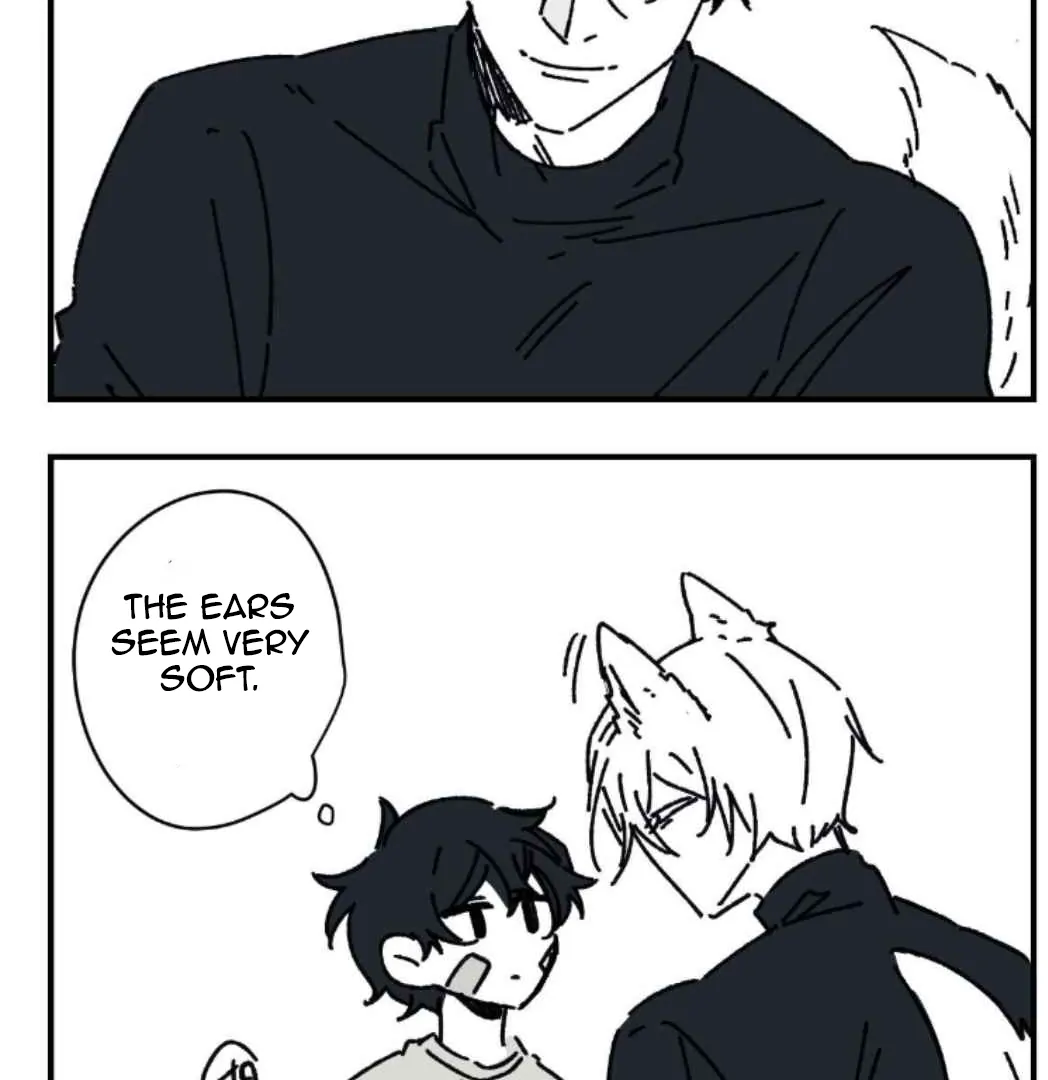 16647 - Chapter 4.3 Page 4
