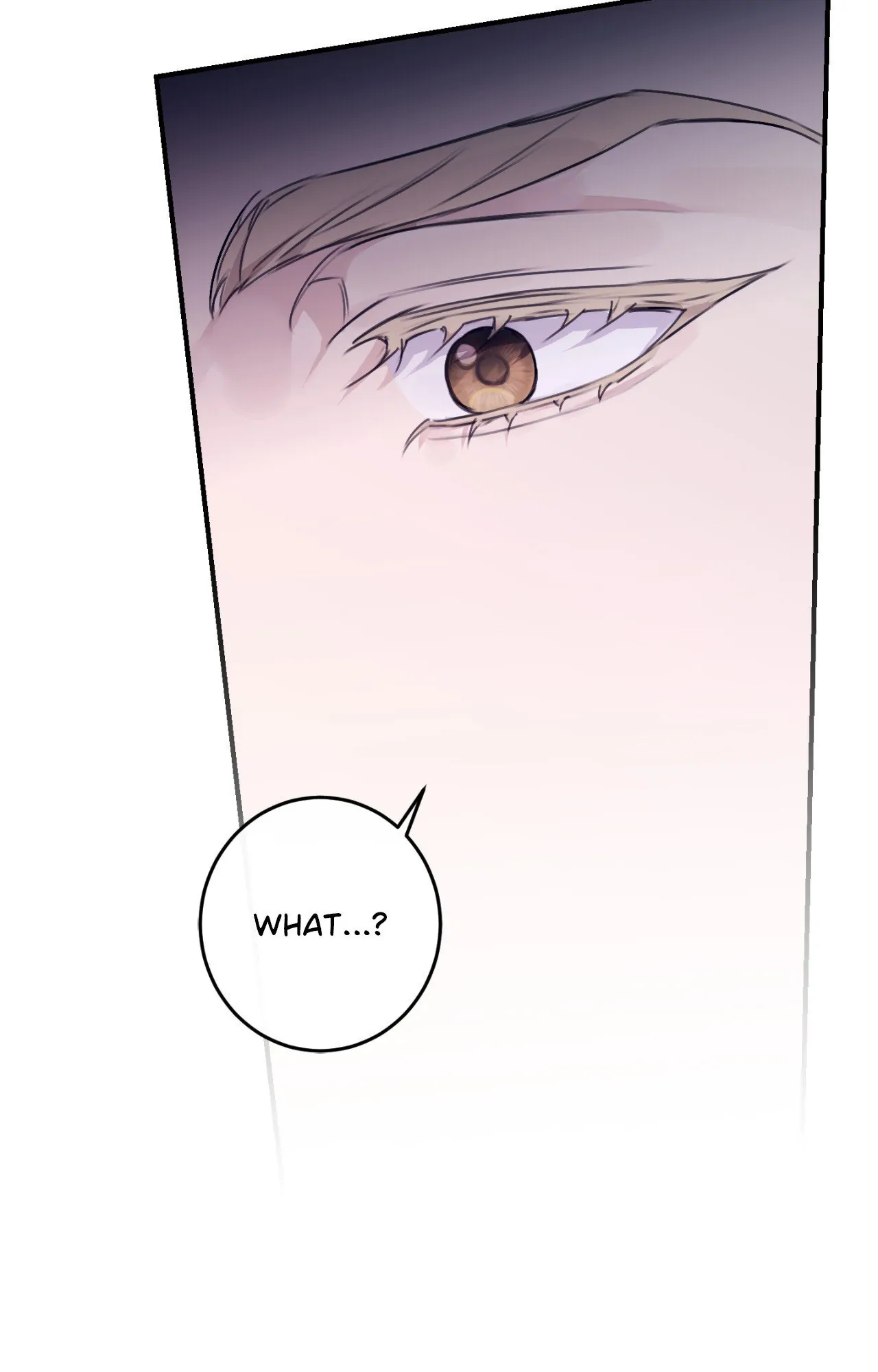 Symbiotic Relationship Between the Sun and the Moon - Chapter 18 Page 14