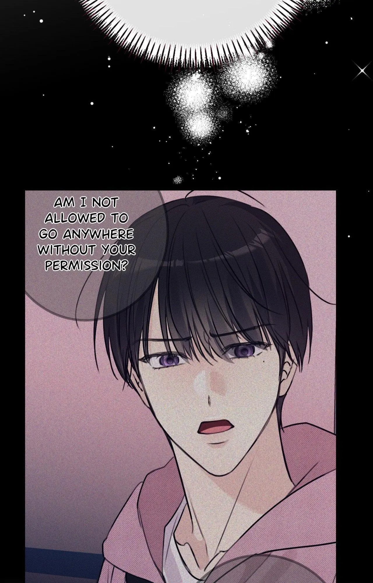 Symbiotic Relationship Between the Sun and the Moon - Chapter 29 Page 53