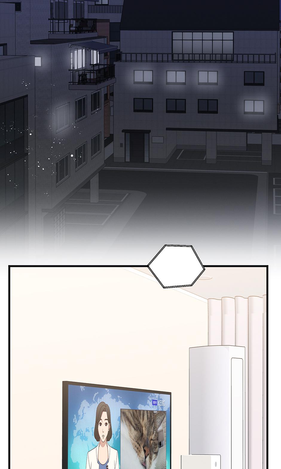 Trap OF Chance - Chapter 37 Page 2