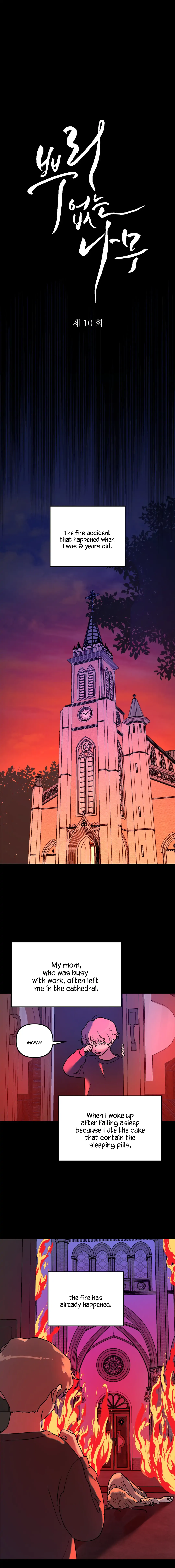 A Tree Without Roots - Chapter 10 Page 3