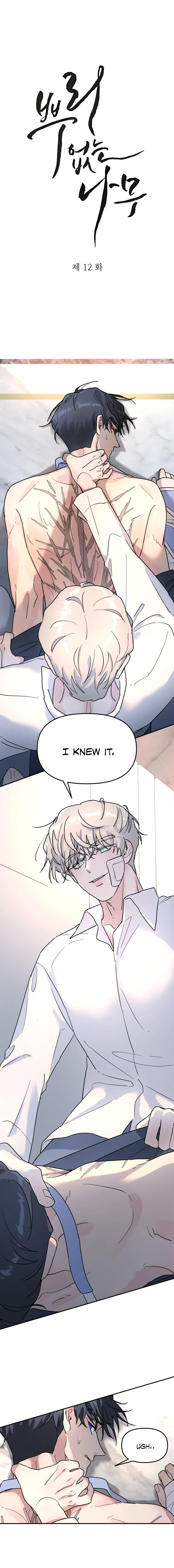 A Tree Without Roots - Chapter 12 Page 2