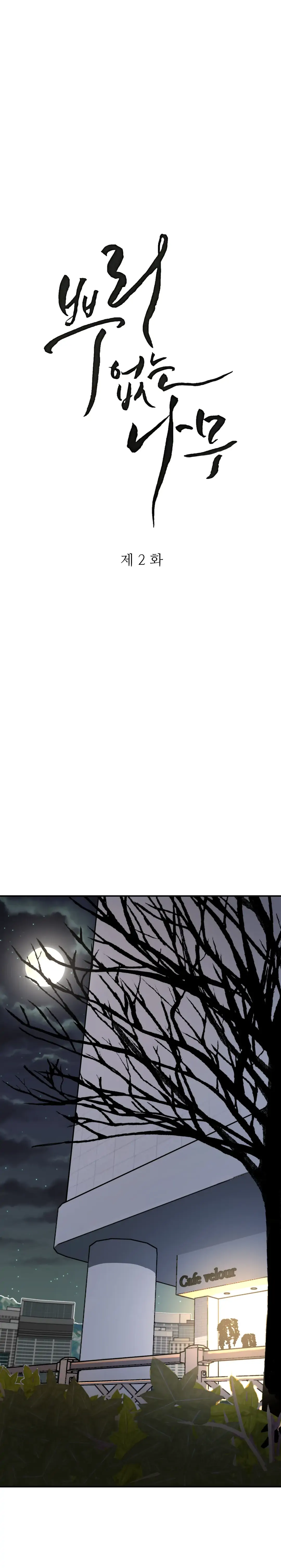 A Tree Without Roots - Chapter 2 Page 8