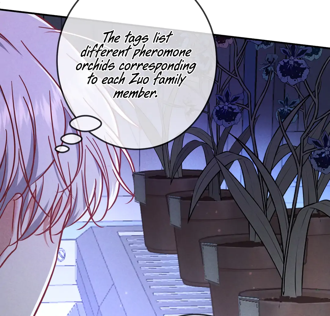 Kill My Love - Chapter 54 Page 25