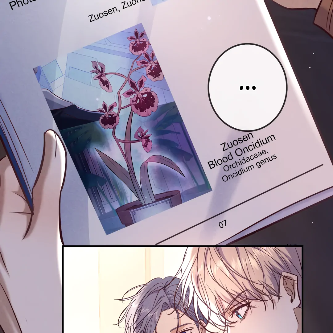 Kill My Love - Chapter 86 Page 8