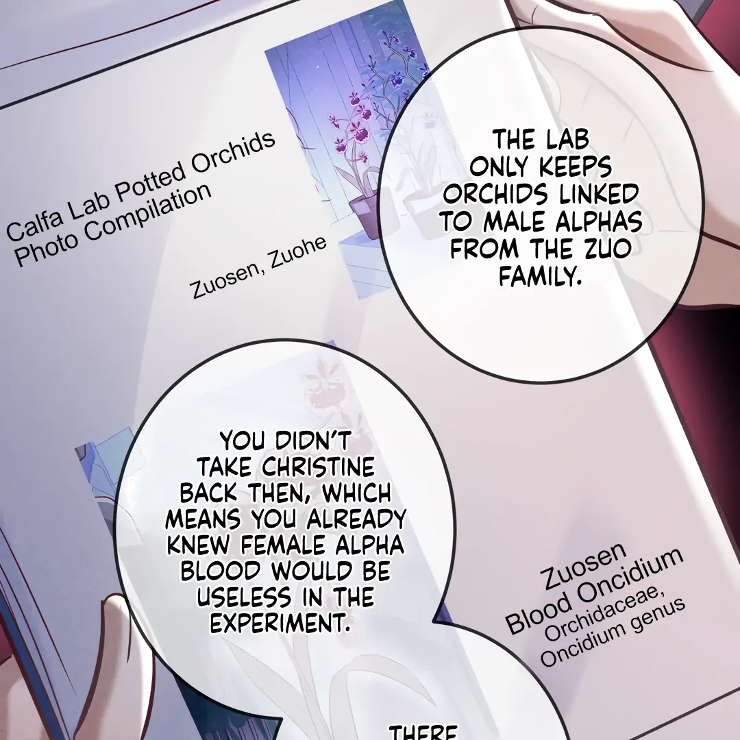 Kill My Love - Chapter 87 Page 37