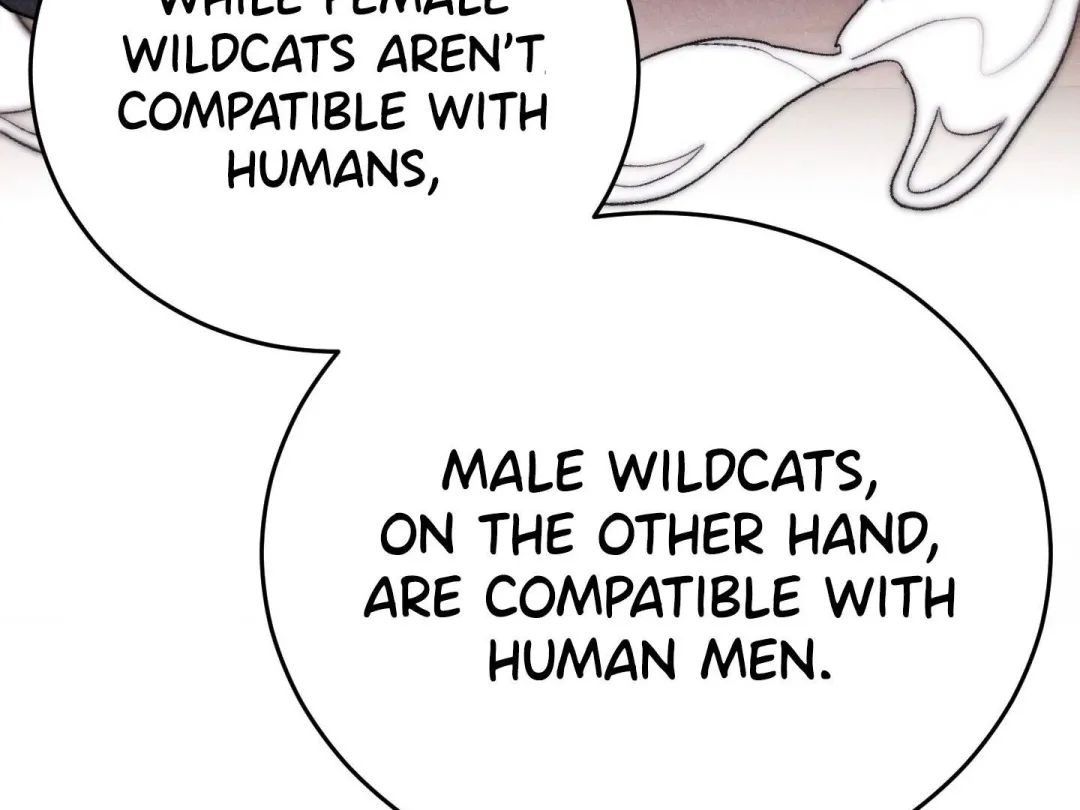 Heat Stroke - Chapter 1 Page 195