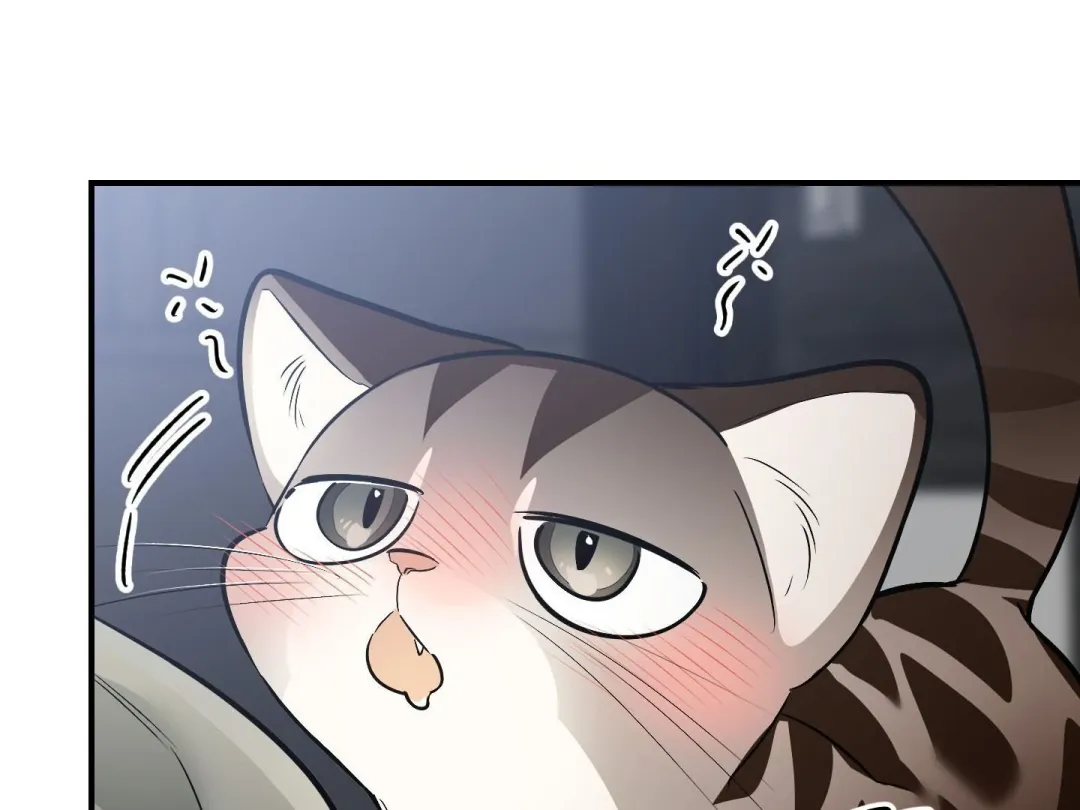 Heat Stroke - Chapter 1 Page 355