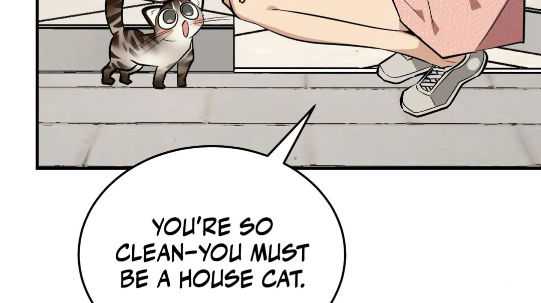 Heat Stroke - Chapter 14 Page 242