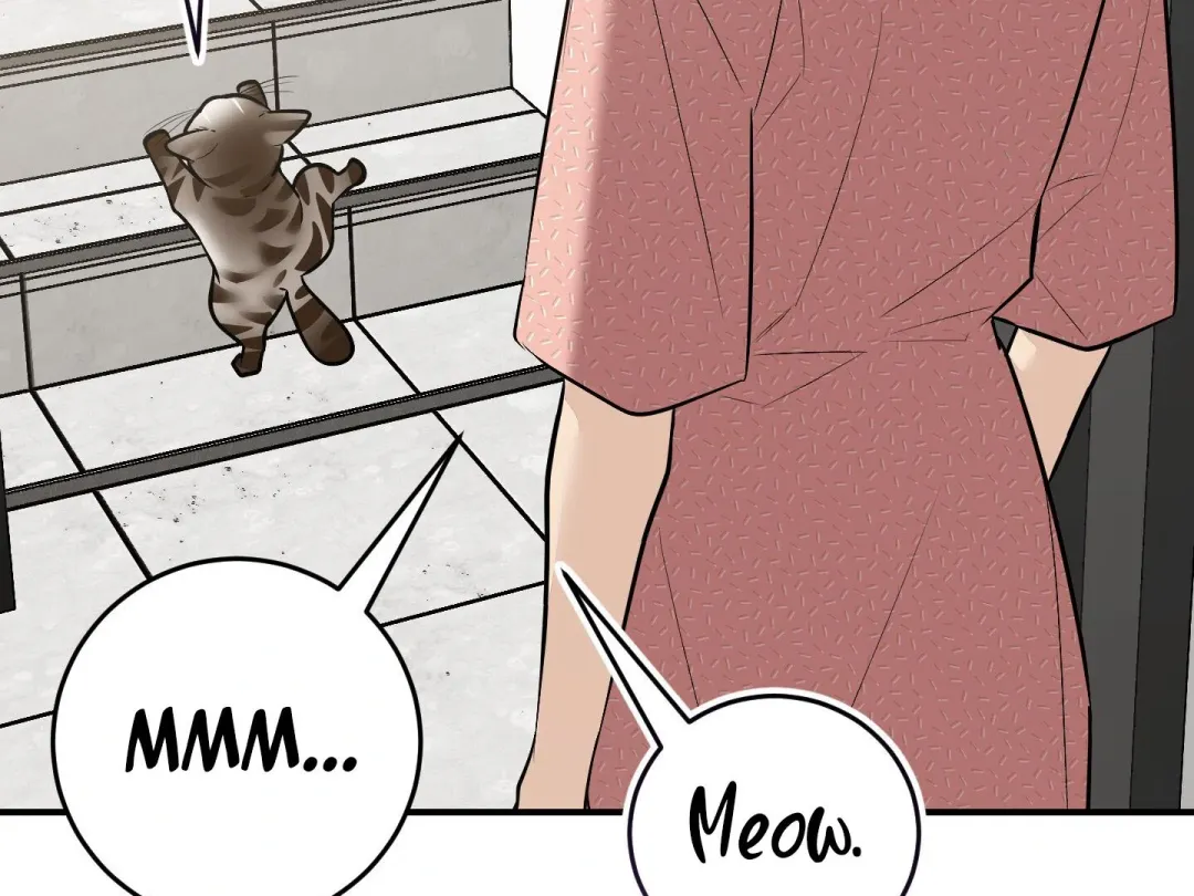 Heat Stroke - Chapter 14 Page 245