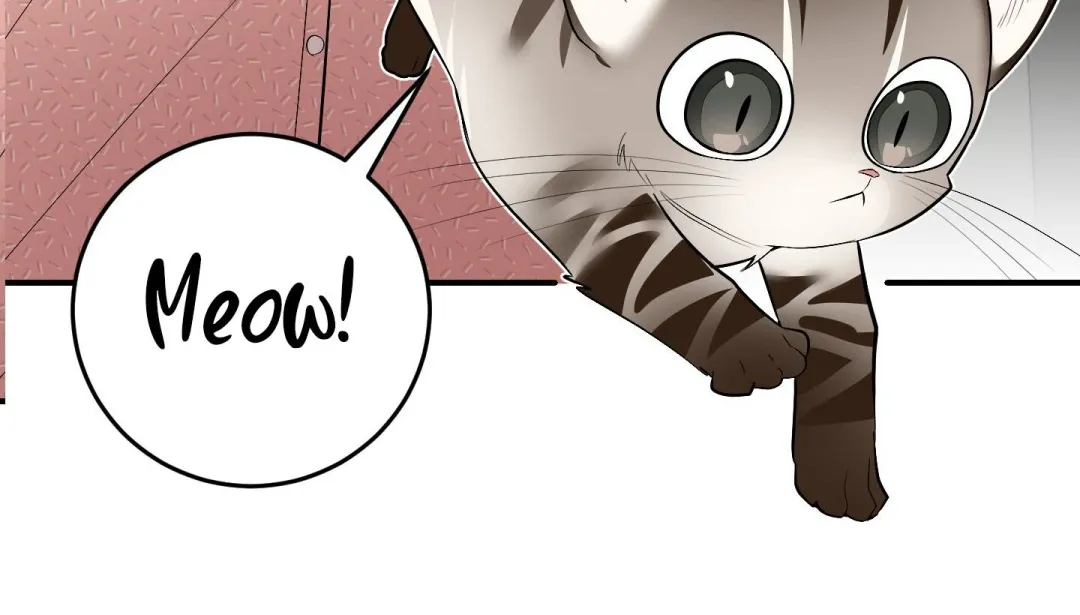 Heat Stroke - Chapter 14 Page 260