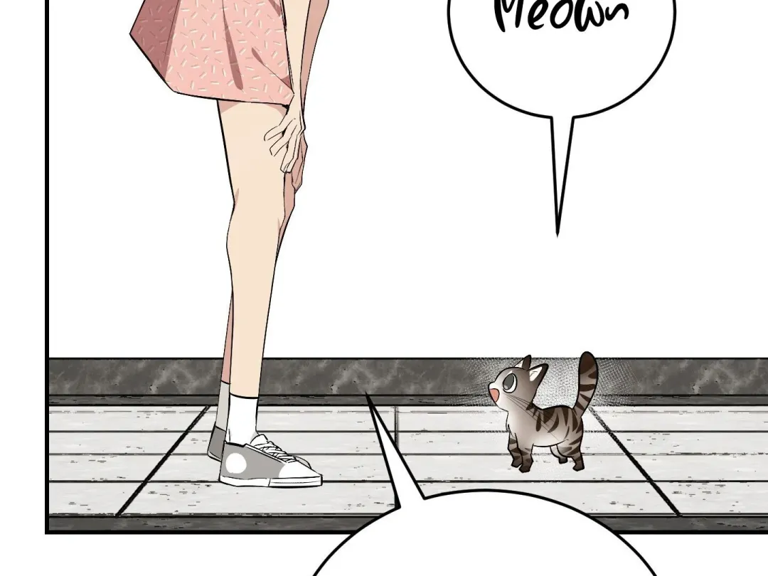 Heat Stroke - Chapter 14 Page 264