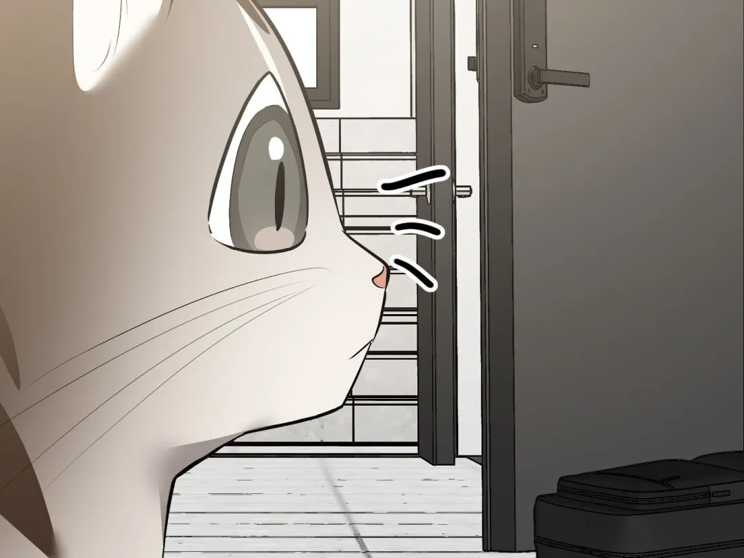 Heat Stroke - Chapter 14 Page 267