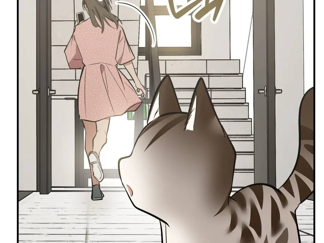 Heat Stroke - Chapter 14 Page 273