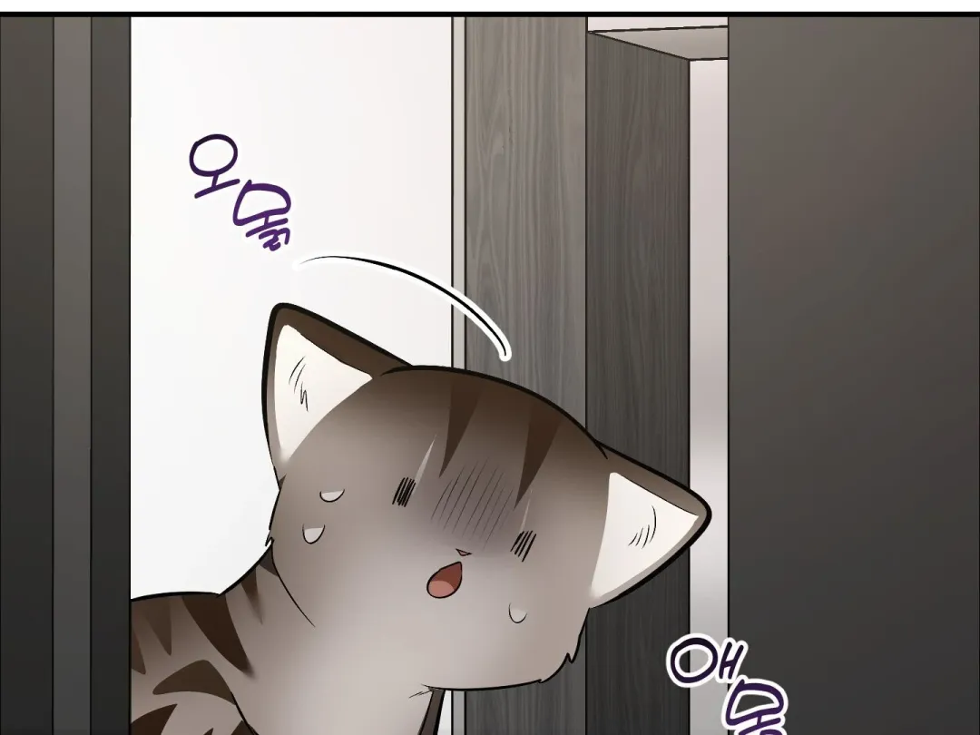 Heat Stroke - Chapter 14 Page 280