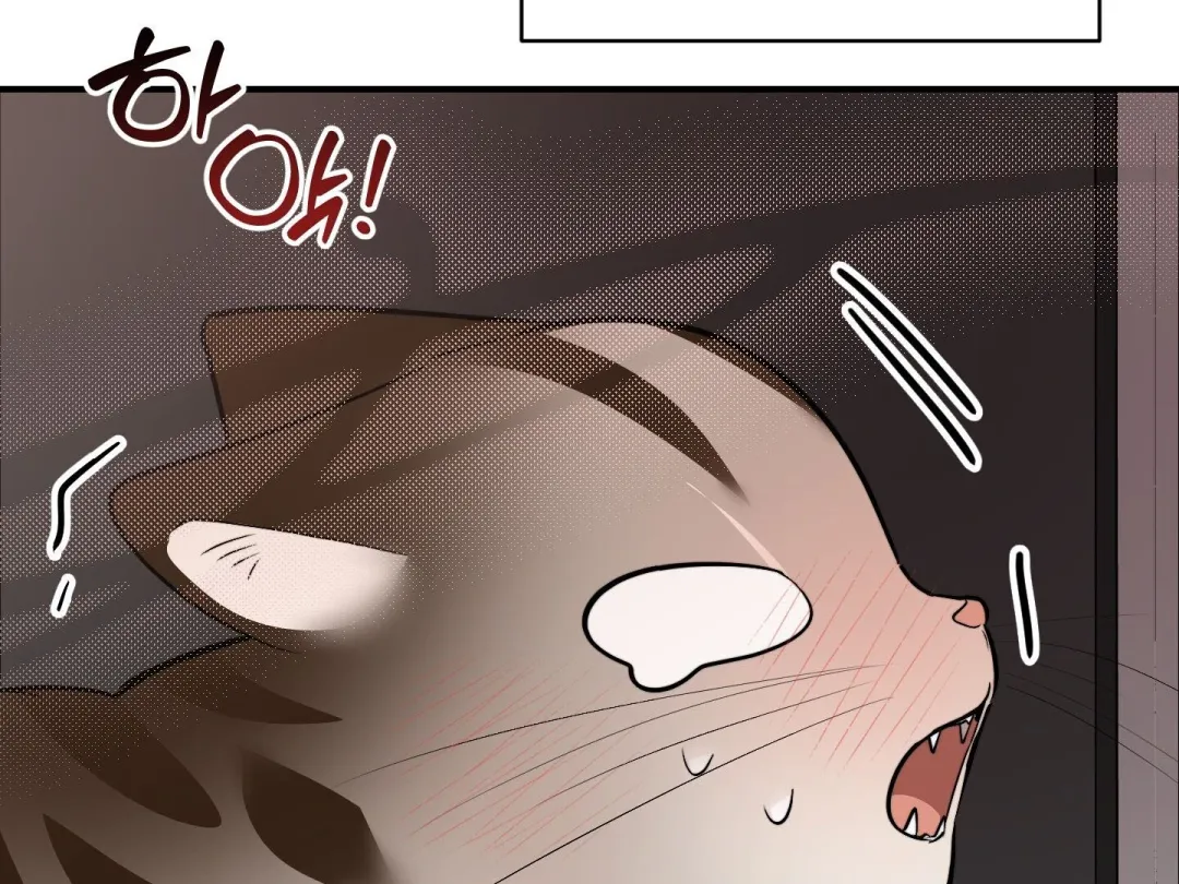 Heat Stroke - Chapter 14 Page 295