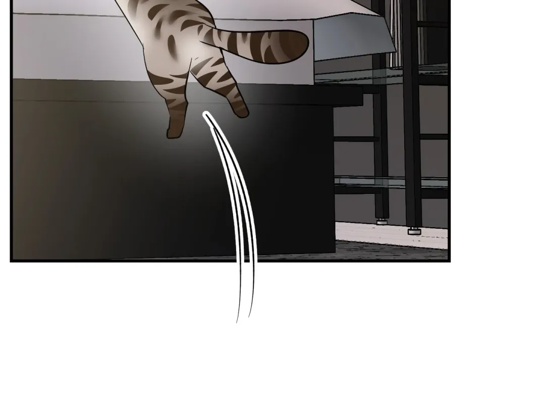 Heat Stroke - Chapter 15 Page 11