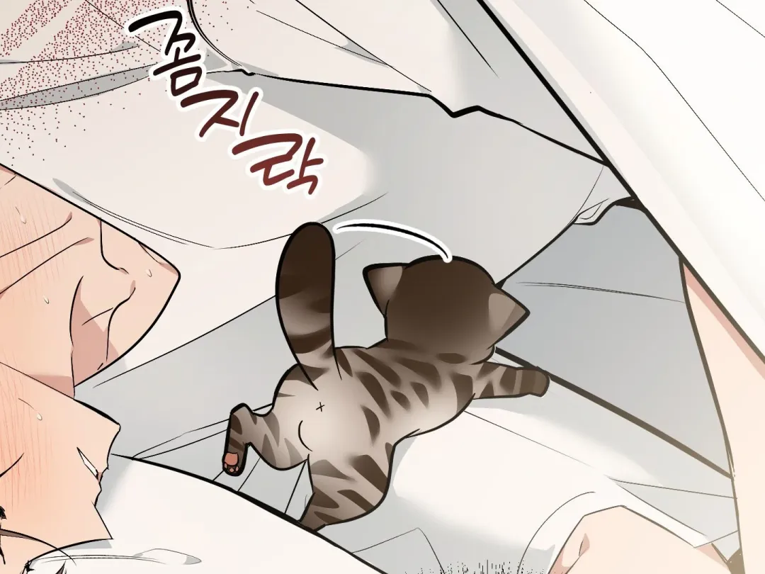 Heat Stroke - Chapter 15 Page 44