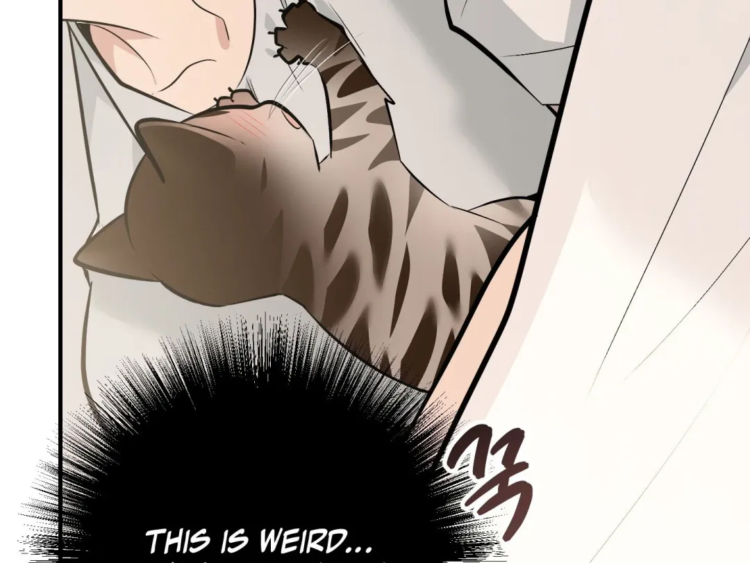 Heat Stroke - Chapter 15 Page 48