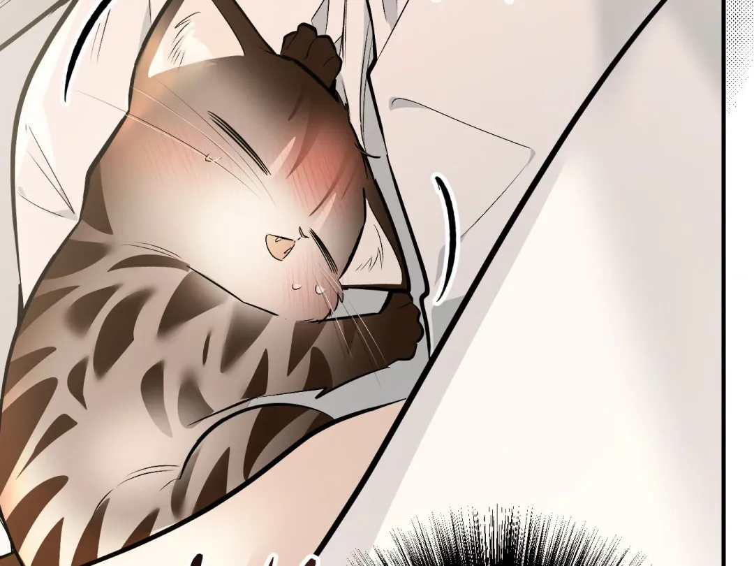 Heat Stroke - Chapter 15 Page 50