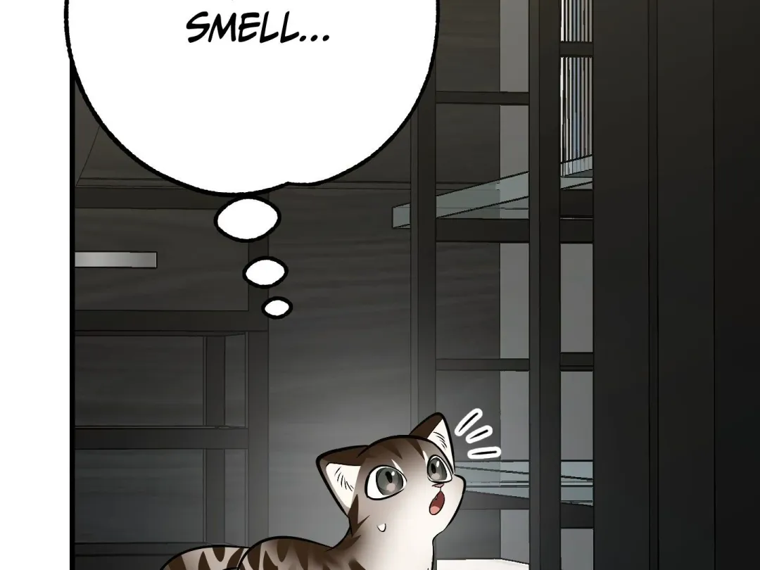Heat Stroke - Chapter 2 Page 47
