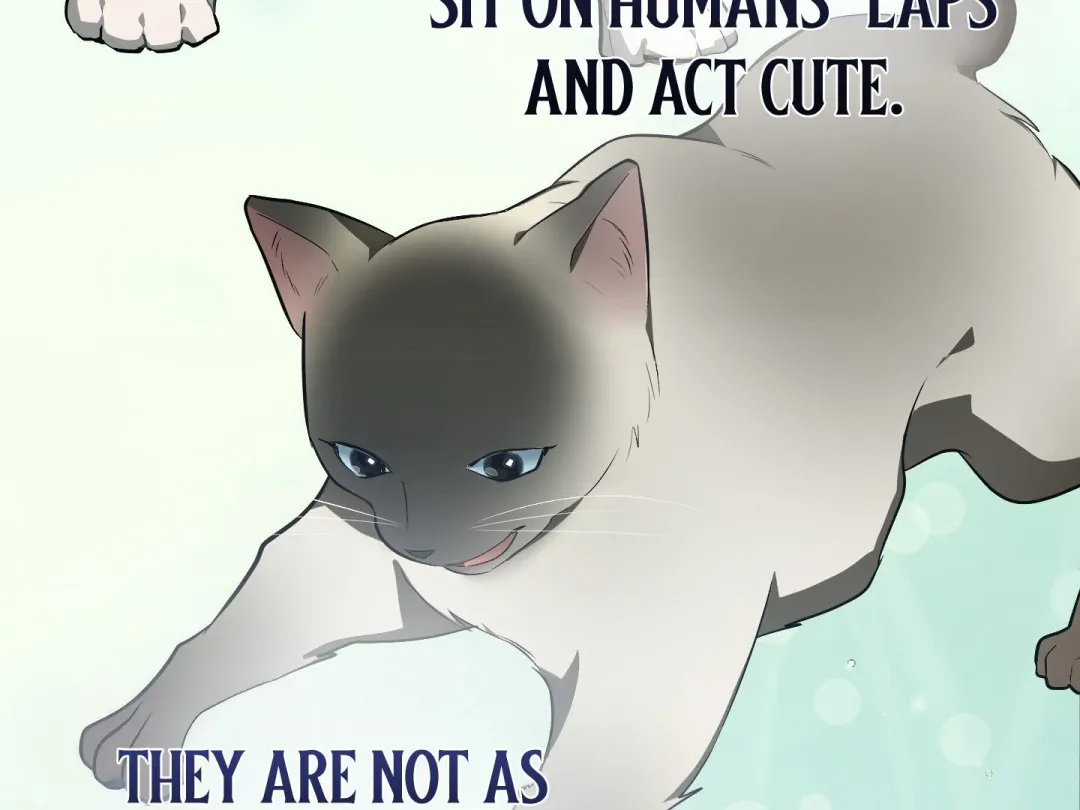 Heat Stroke - Chapter 6 Page 61