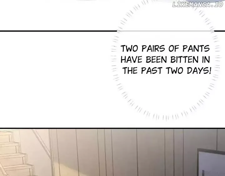Everyone’s Darling - Chapter 150 Page 27